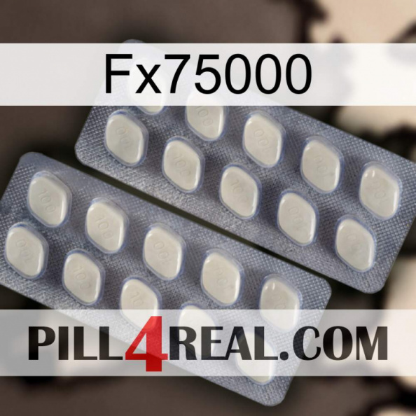 Fx75000 07